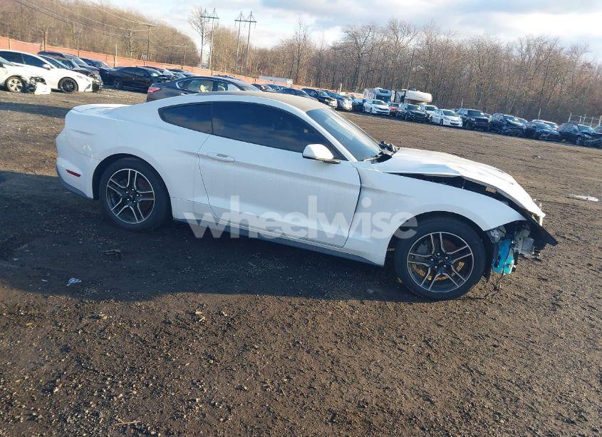 2020 Ford Mustang ECOBOOST FASTBACK (VIN 1FA6P8TH4L5149093) main photo