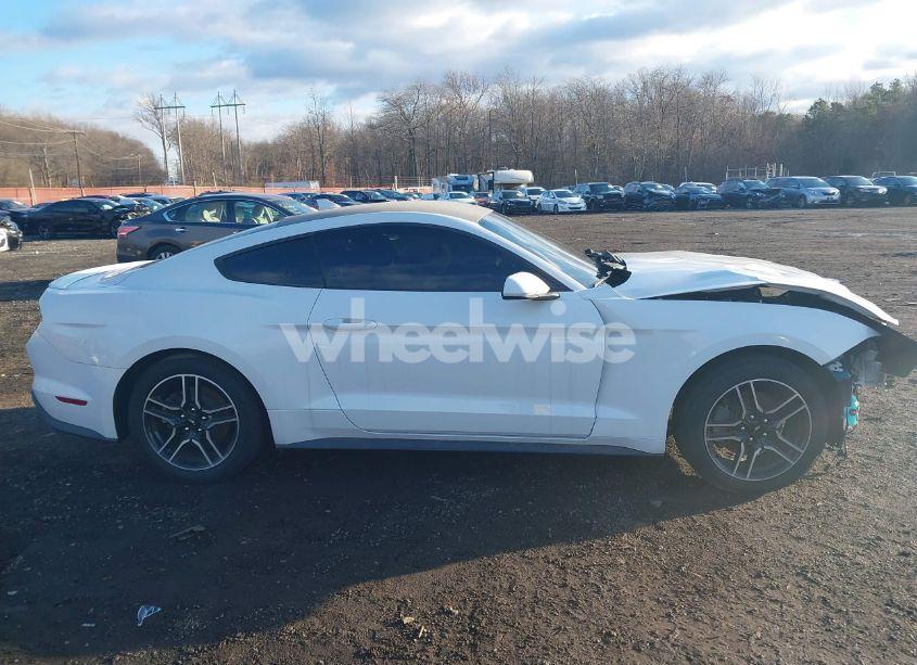 Photo 13 of 2020 Ford Mustang ECOBOOST FASTBACK (VIN 1FA6P8TH4L5149093)