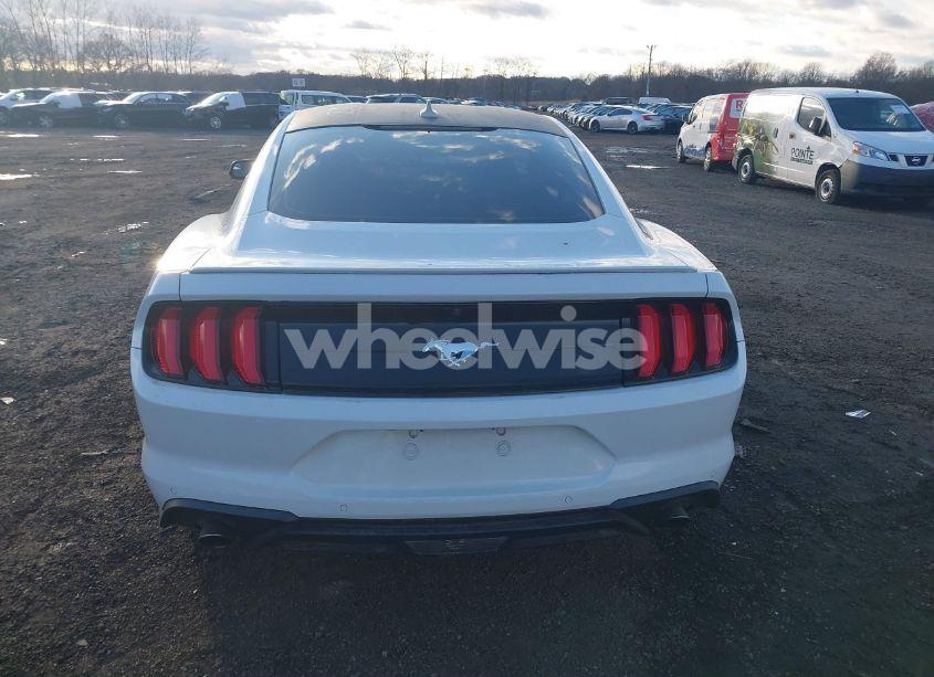 Photo 16 of 2020 Ford Mustang ECOBOOST FASTBACK (VIN 1FA6P8TH4L5149093)