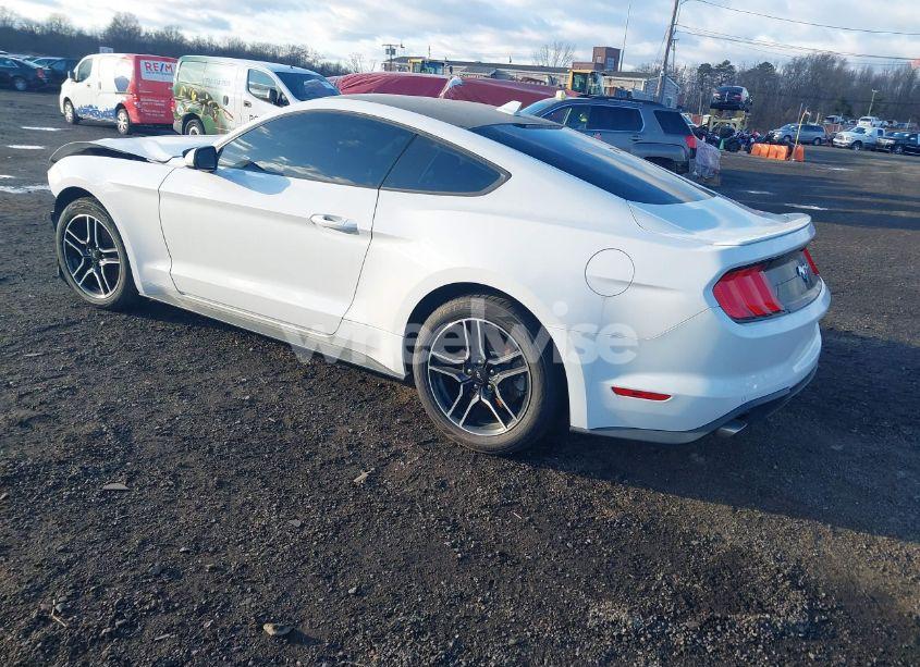 Photo 3 of 2020 Ford Mustang ECOBOOST FASTBACK (VIN 1FA6P8TH4L5149093)