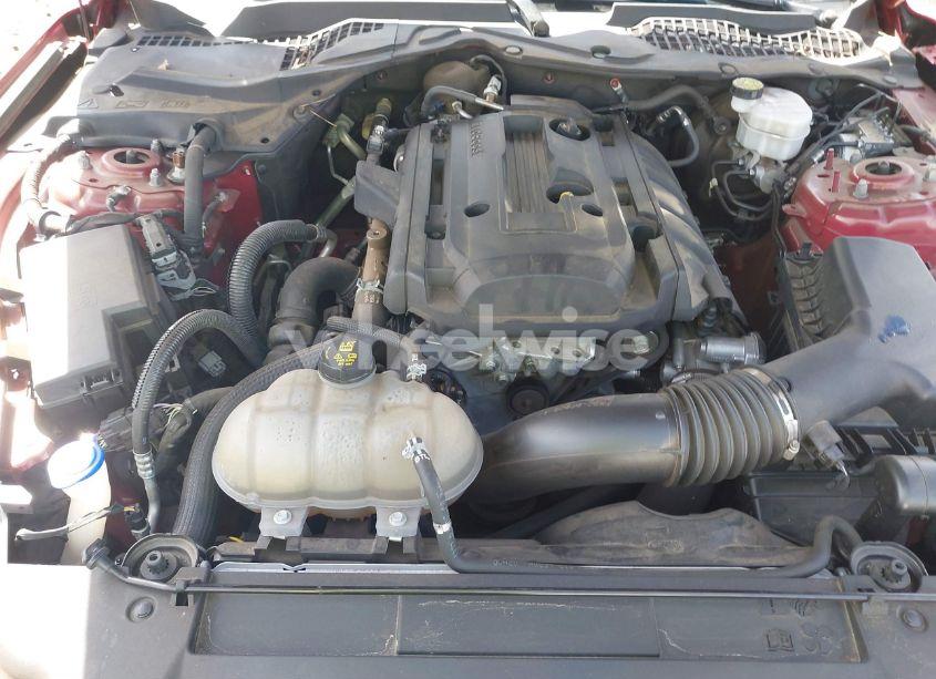 Photo 10 of 2020 Ford Mustang ECOBOOST PREMIUM FASTBACK (VIN 1FA6P8TH4L5157565)