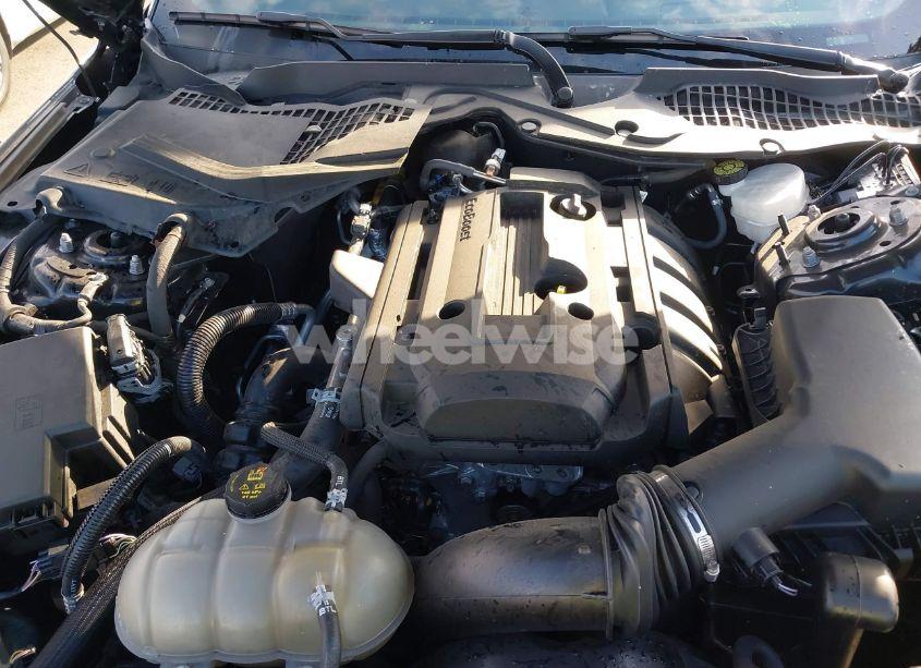 Photo 10 of 2020 Ford Mustang ECOBOOST FASTBACK (VIN 1FA6P8TH4L5188492)