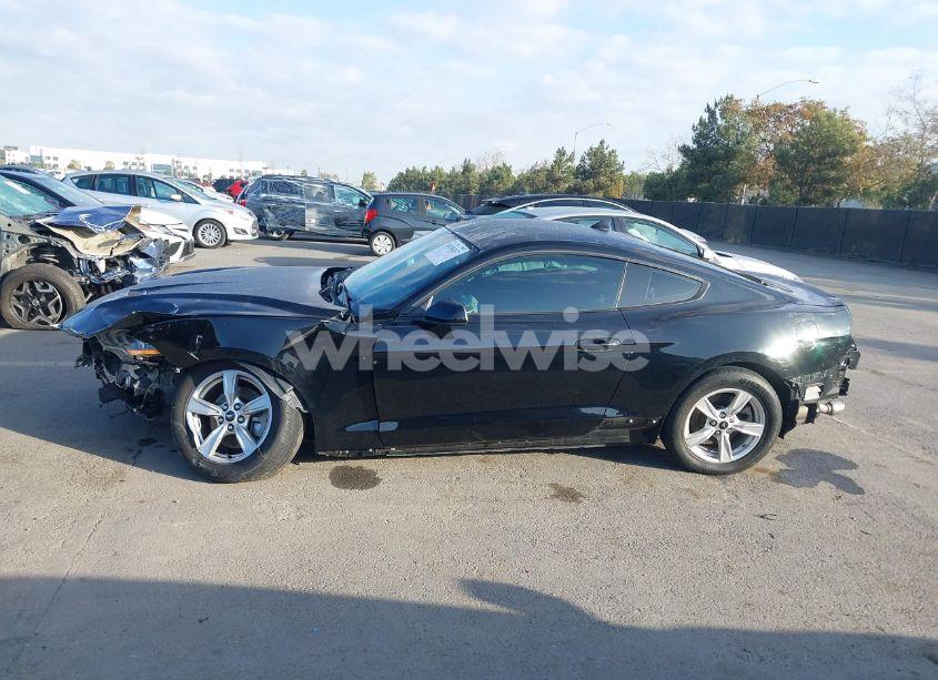 Photo 15 of 2020 Ford Mustang ECOBOOST FASTBACK (VIN 1FA6P8TH4L5188492)