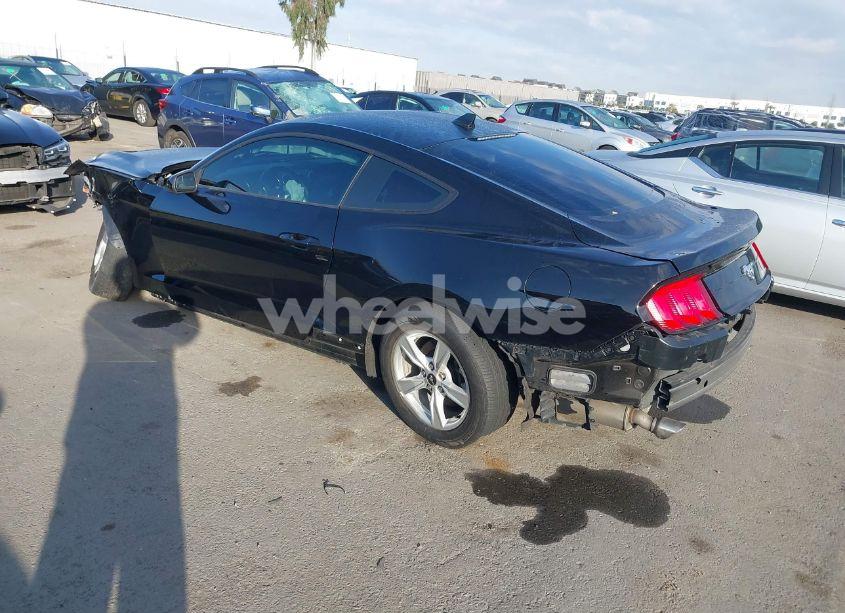 Photo 3 of 2020 Ford Mustang ECOBOOST FASTBACK (VIN 1FA6P8TH4L5188492)