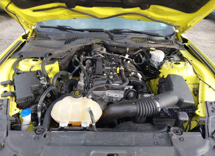 Photo 10 of 2021 Ford Mustang ECOBOOST (VIN 1FA6P8TH4M5134479)