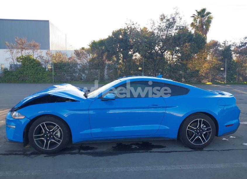 Photo 14 of 2022 Ford Mustang ECOBOOST PREMIUM FASTBACK (VIN 1FA6P8TH4N5106604)