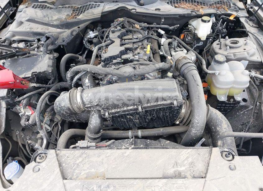 Photo 10 of 2024 Ford Mustang ECOBOOST FASTBACK (VIN 1FA6P8TH4R5107256)