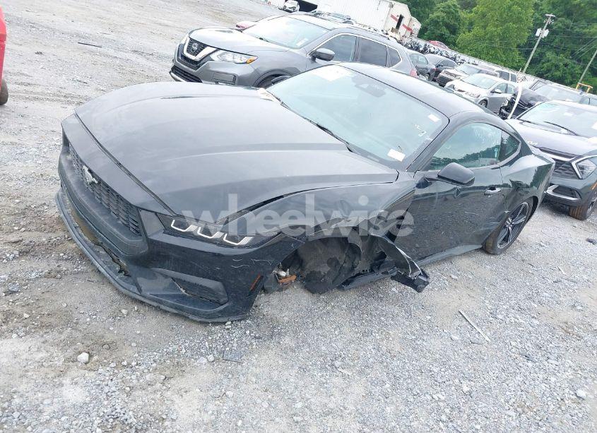 Photo 2 of 2024 Ford Mustang ECOBOOST FASTBACK (VIN 1FA6P8TH4R5107256)