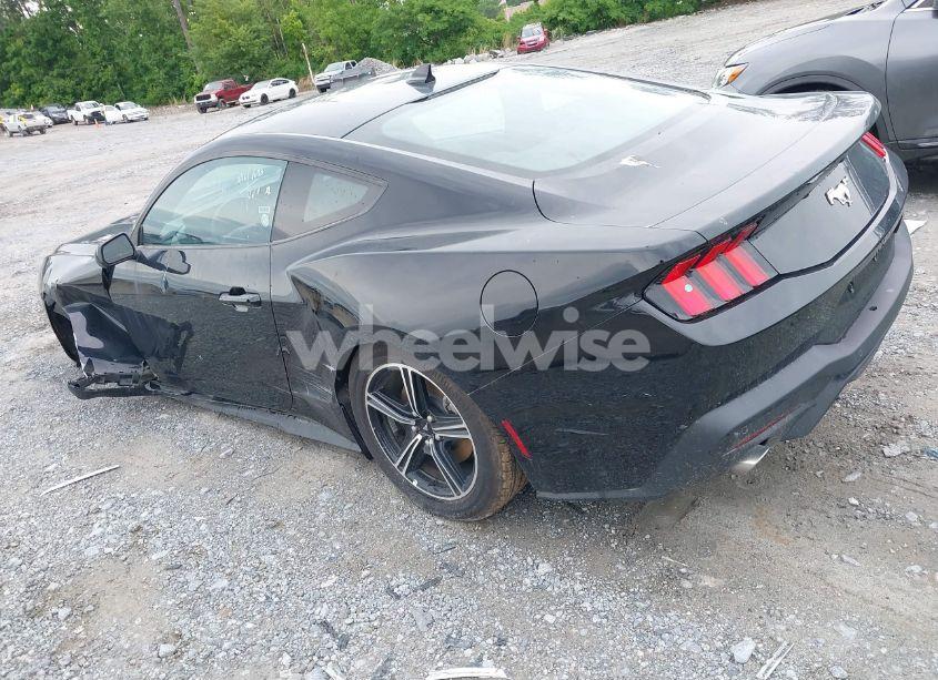 Photo 3 of 2024 Ford Mustang ECOBOOST FASTBACK (VIN 1FA6P8TH4R5107256)