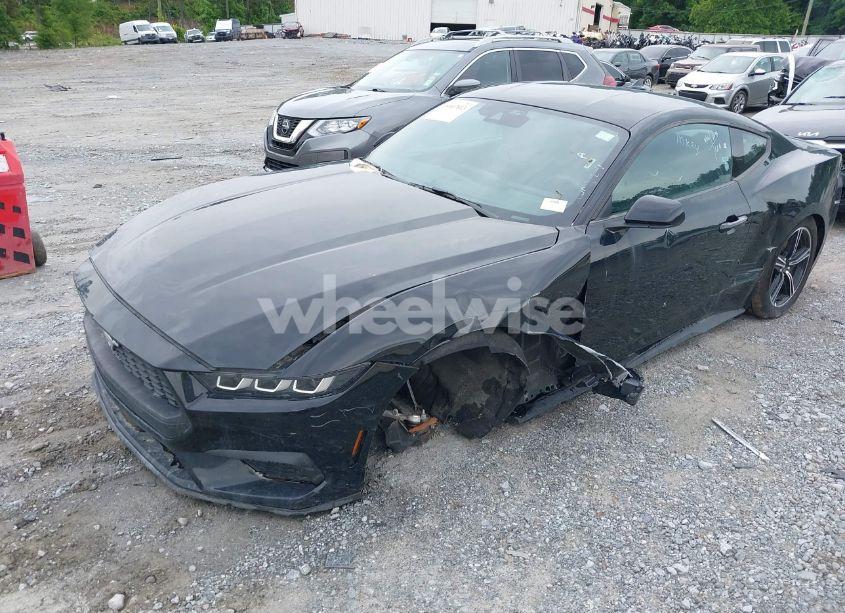 Photo 6 of 2024 Ford Mustang ECOBOOST FASTBACK (VIN 1FA6P8TH4R5107256)