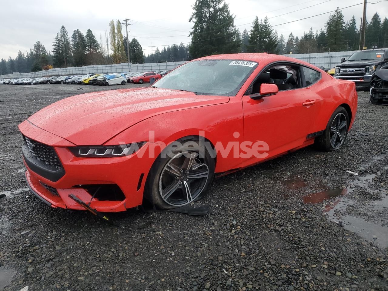 2024 FORD MUSTANG (VIN 1FA6P8TH4R5108004) main photo
