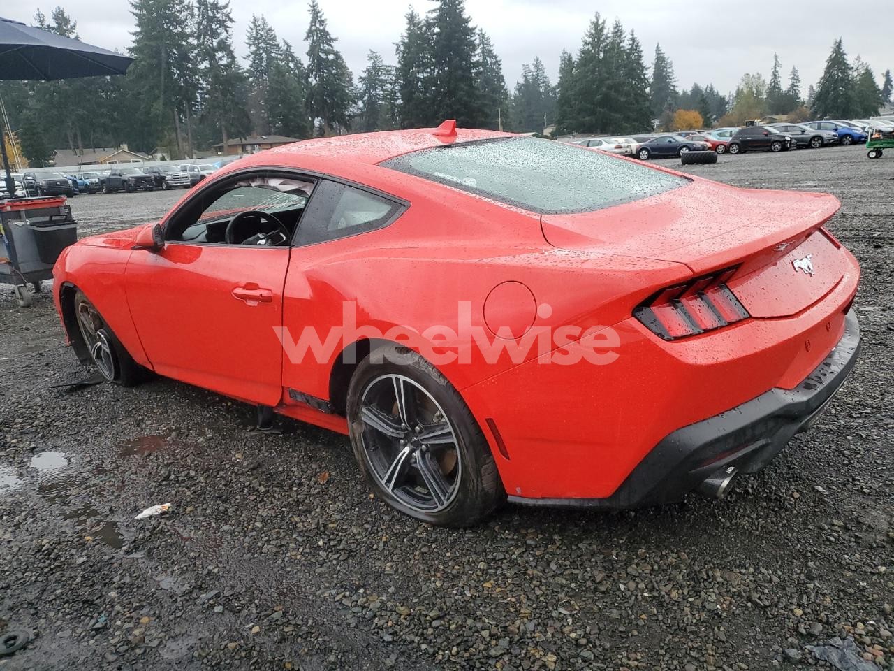 Photo 2 of 2024 FORD MUSTANG (VIN 1FA6P8TH4R5108004)