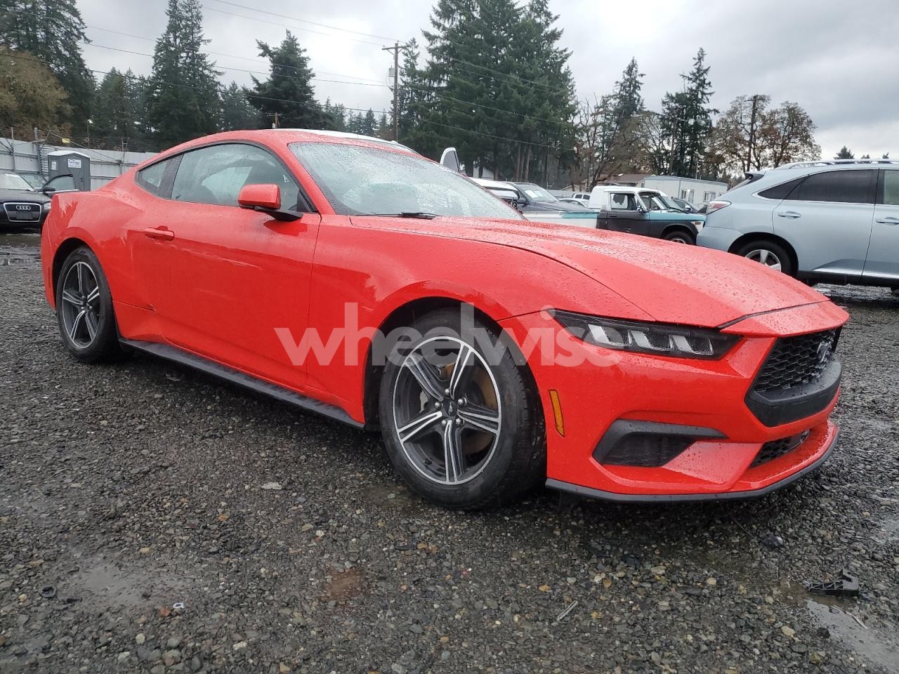 Photo 4 of 2024 FORD MUSTANG (VIN 1FA6P8TH4R5108004)