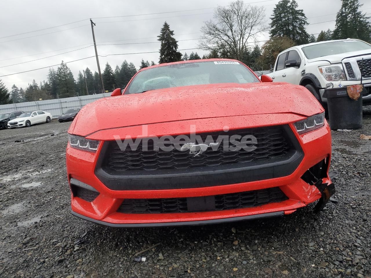 Photo 5 of 2024 FORD MUSTANG (VIN 1FA6P8TH4R5108004)