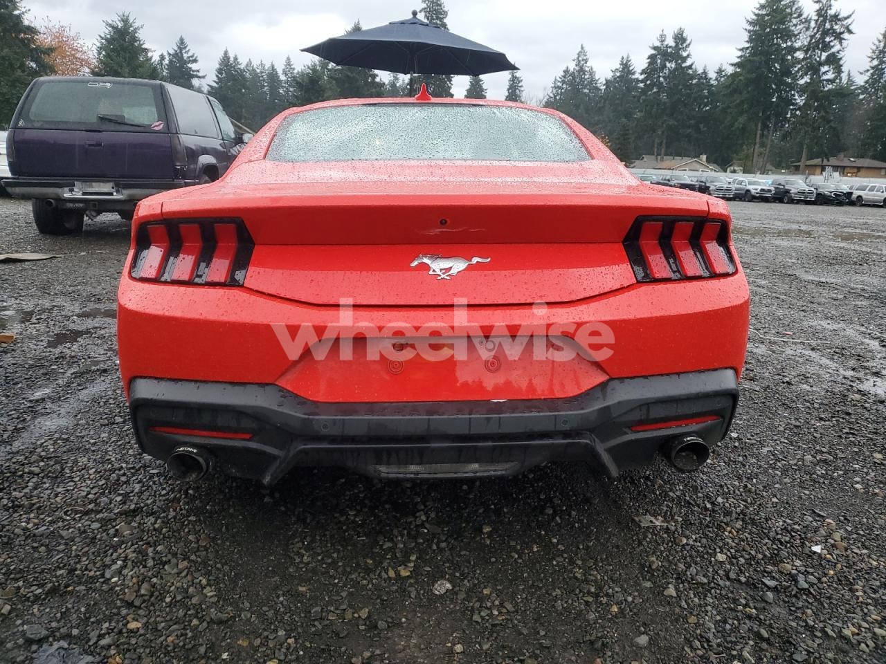Photo 6 of 2024 FORD MUSTANG (VIN 1FA6P8TH4R5108004)