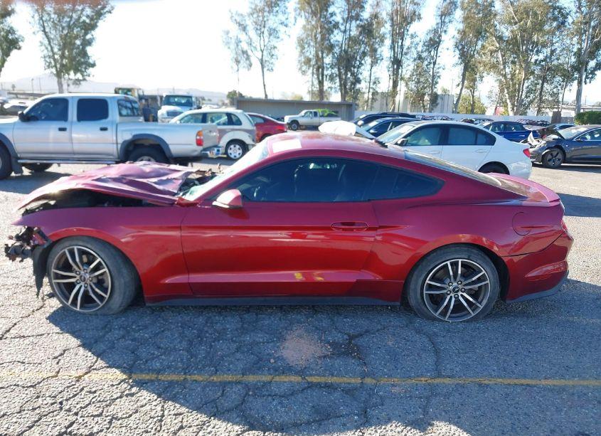 Photo 14 of 2015 Ford Mustang ECOBOOST (VIN 1FA6P8TH5F5382100)