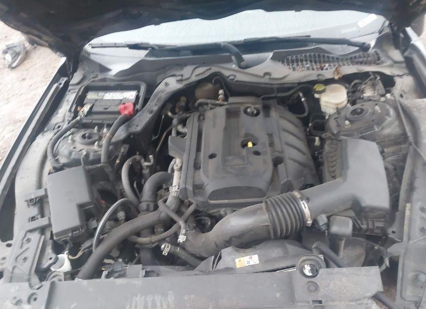 Photo 10 of 2017 Ford Mustang ECOBOOST (VIN 1FA6P8TH5H5205257)