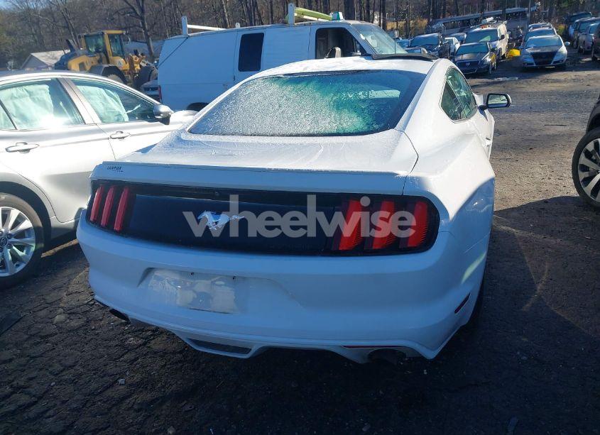 Photo 16 of 2017 Ford Mustang ECOBOOST (VIN 1FA6P8TH5H5221328)