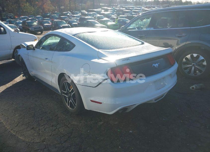 Photo 3 of 2017 Ford Mustang ECOBOOST (VIN 1FA6P8TH5H5221328)