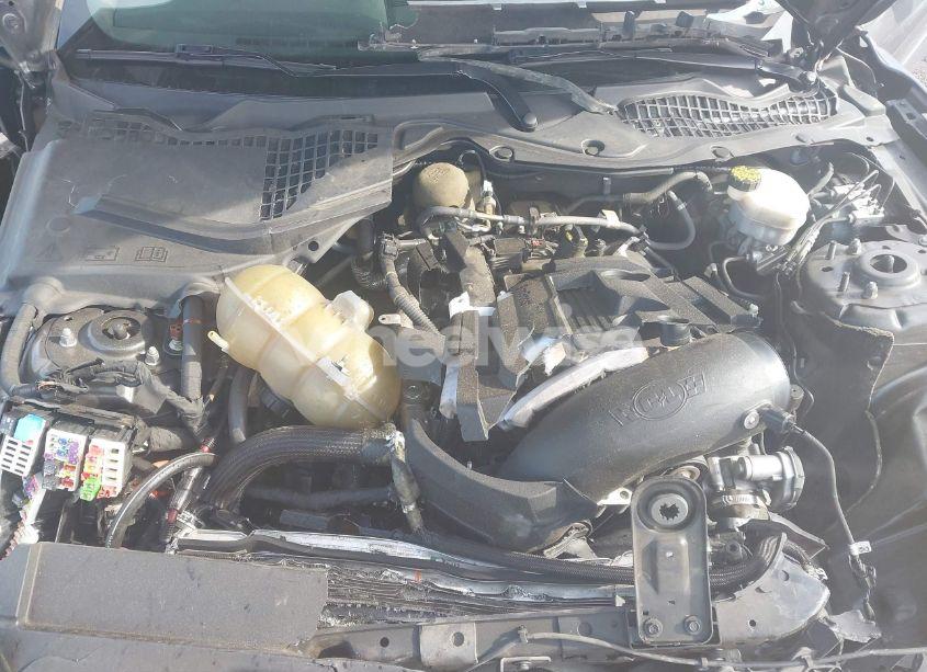 Photo 10 of 2017 Ford Mustang ECOBOOST (VIN 1FA6P8TH5H5264373)