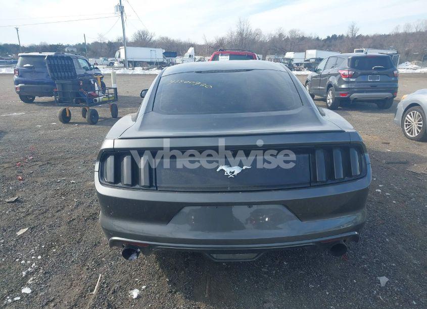 Photo 15 of 2017 Ford Mustang ECOBOOST (VIN 1FA6P8TH5H5264373)