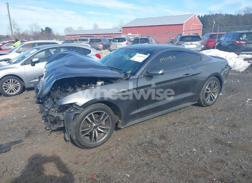 Photo 2 of 2017 Ford Mustang ECOBOOST (VIN 1FA6P8TH5H5264373)