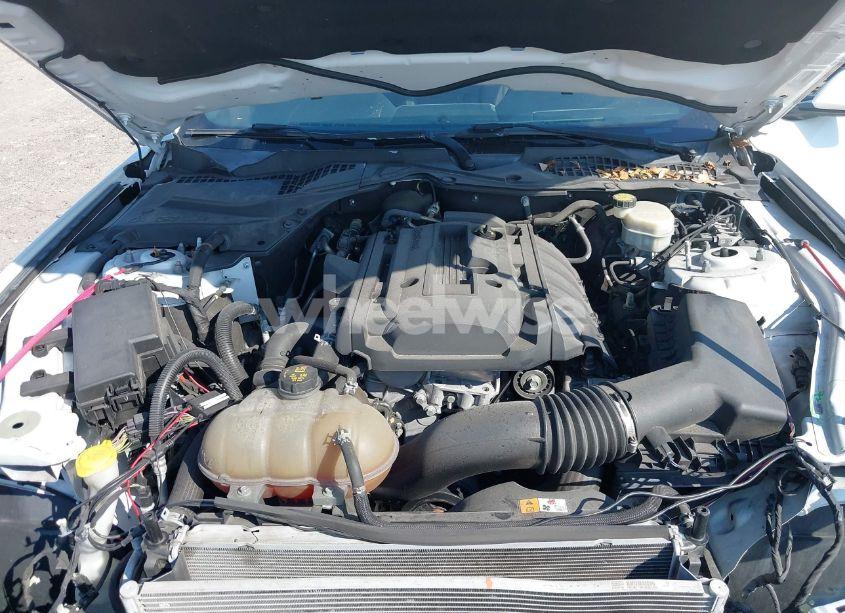 Photo 10 of 2017 Ford Mustang ECOBOOST (VIN 1FA6P8TH5H5328797)