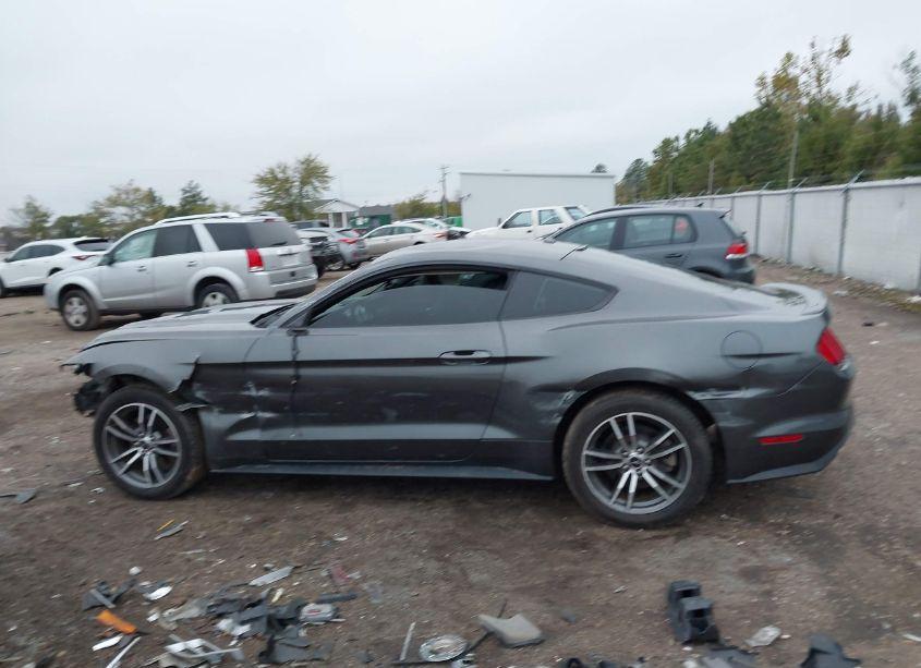 Photo 14 of 2017 Ford Mustang ECOBOOST (VIN 1FA6P8TH5H5342912)