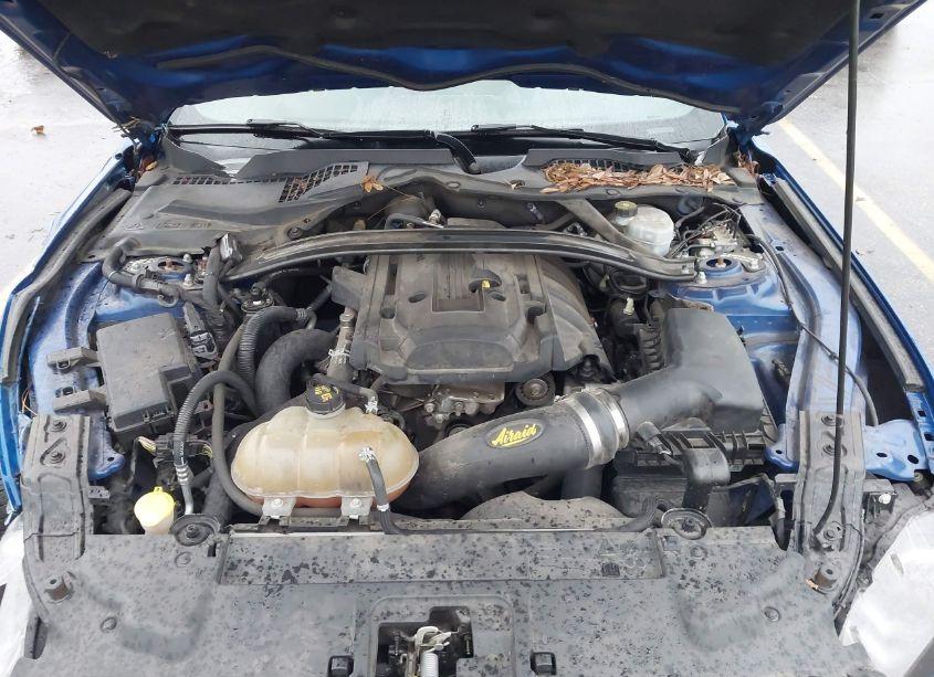 Photo 10 of 2018 Ford Mustang ECOBOOST (VIN 1FA6P8TH5J5164912)