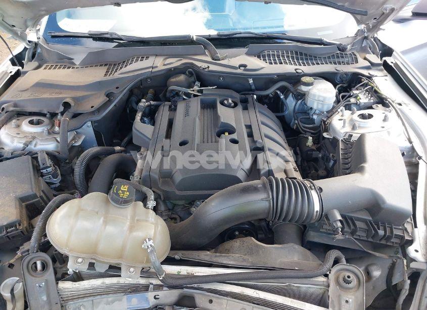 Photo 10 of 2019 Ford Mustang ECOBOOST PREMIUM (VIN 1FA6P8TH5K5151692)