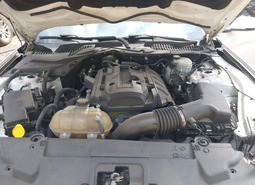 Photo 10 of 2019 Ford Mustang ECOBOOST PREMIUM (VIN 1FA6P8TH5K5172560)