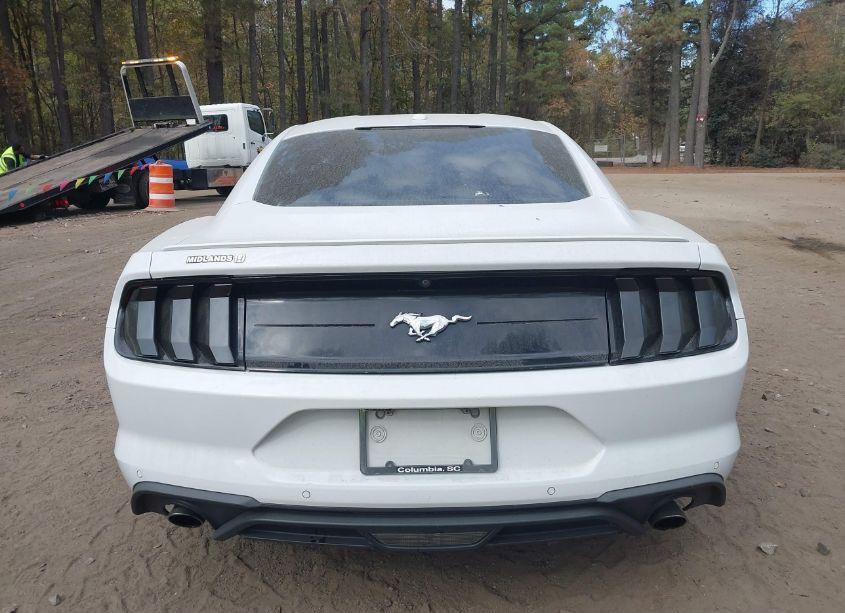 Photo 16 of 2019 Ford Mustang ECOBOOST PREMIUM (VIN 1FA6P8TH5K5172560)