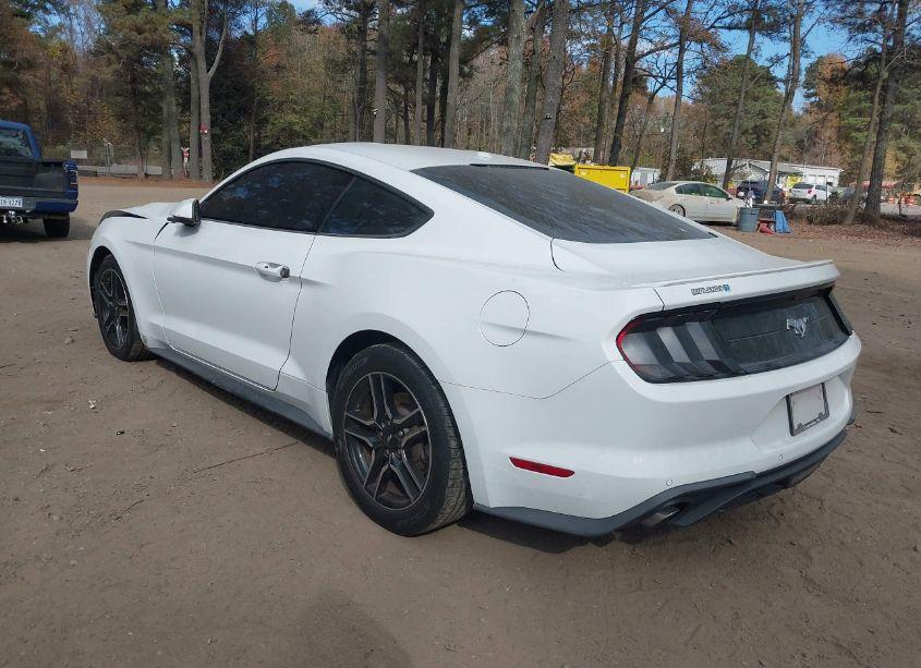 Photo 3 of 2019 Ford Mustang ECOBOOST PREMIUM (VIN 1FA6P8TH5K5172560)