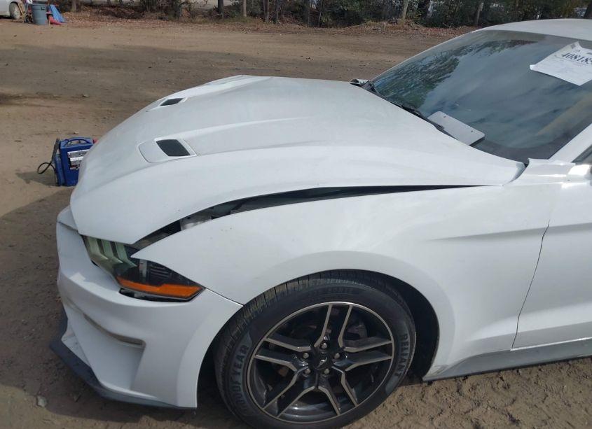 Photo 6 of 2019 Ford Mustang ECOBOOST PREMIUM (VIN 1FA6P8TH5K5172560)