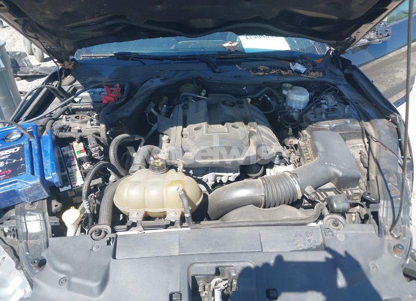 Photo 10 of 2019 Ford Mustang ECOBOOST (VIN 1FA6P8TH5K5185938)