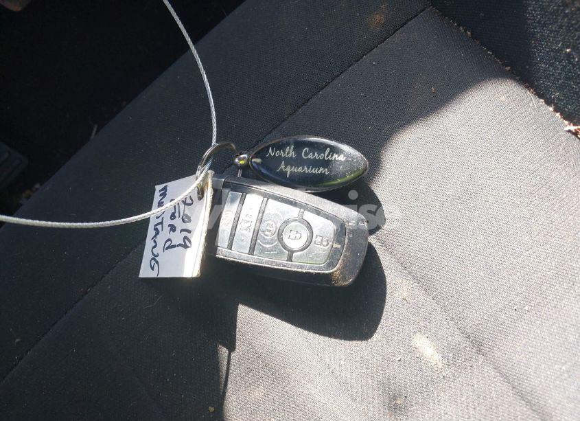 Photo 11 of 2019 Ford Mustang ECOBOOST (VIN 1FA6P8TH5K5185938)