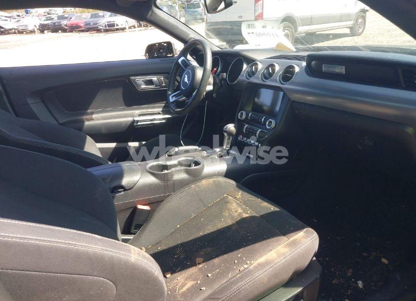 Photo 5 of 2019 Ford Mustang ECOBOOST (VIN 1FA6P8TH5K5185938)