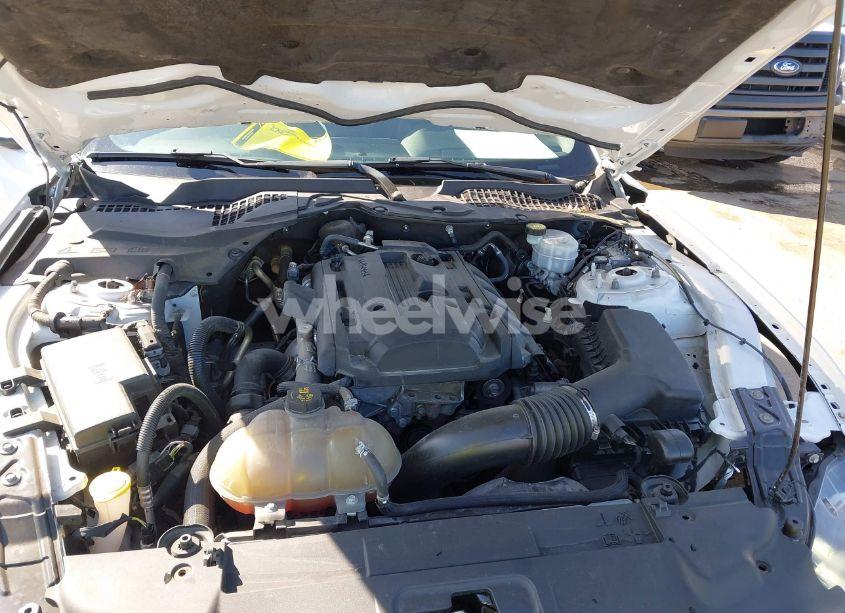 Photo 10 of 2019 Ford Mustang ECOBOOST (VIN 1FA6P8TH5K5195384)