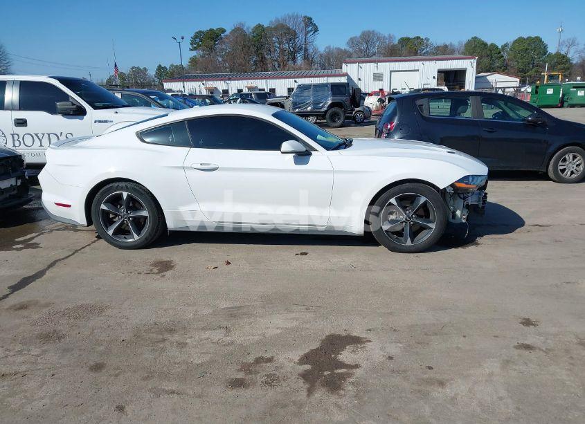 Photo 14 of 2019 Ford Mustang ECOBOOST (VIN 1FA6P8TH5K5195384)