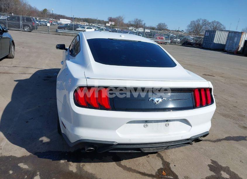 Photo 17 of 2019 Ford Mustang ECOBOOST (VIN 1FA6P8TH5K5195384)