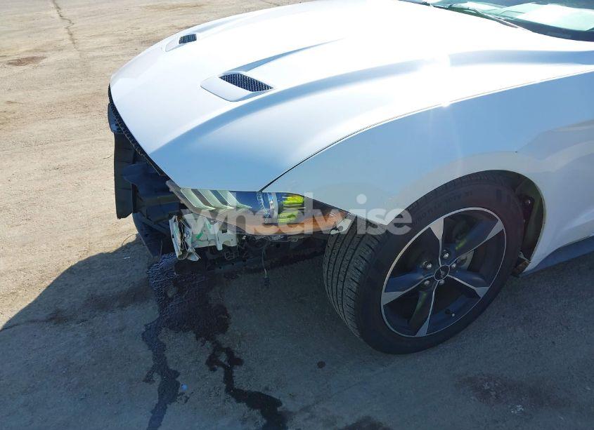 Photo 18 of 2019 Ford Mustang ECOBOOST (VIN 1FA6P8TH5K5195384)