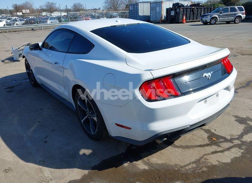 Photo 3 of 2019 Ford Mustang ECOBOOST (VIN 1FA6P8TH5K5195384)