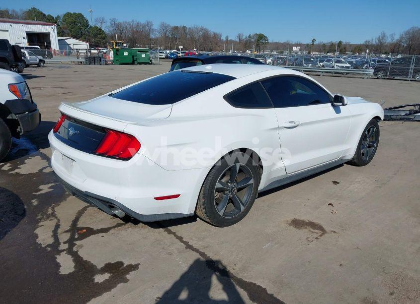 Photo 4 of 2019 Ford Mustang ECOBOOST (VIN 1FA6P8TH5K5195384)
