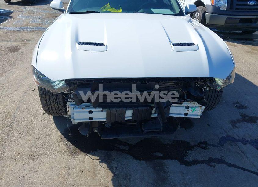 Photo 6 of 2019 Ford Mustang ECOBOOST (VIN 1FA6P8TH5K5195384)