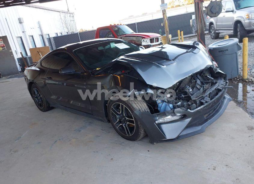 2020 Ford Mustang ECOBOOST FASTBACK (VIN 1FA6P8TH5L5113803) main photo