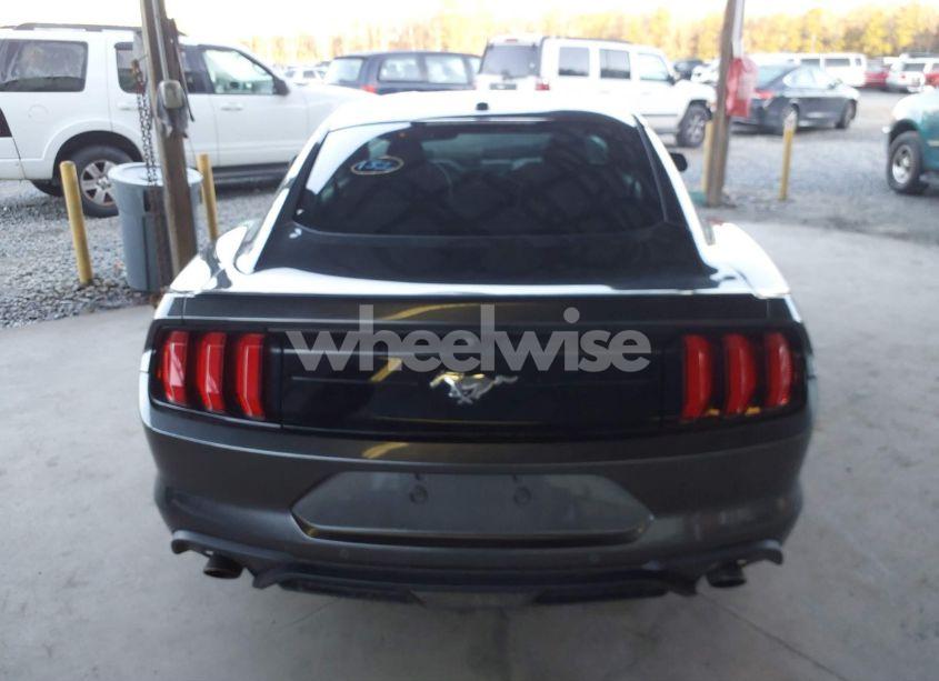 Photo 17 of 2020 Ford Mustang ECOBOOST FASTBACK (VIN 1FA6P8TH5L5113803)