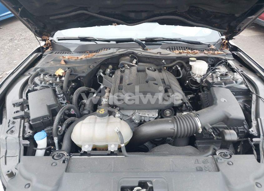 Photo 10 of 2020 Ford Mustang ECOBOOST FASTBACK (VIN 1FA6P8TH5L5159549)