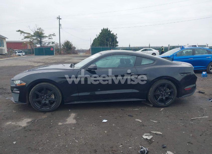 Photo 15 of 2020 Ford Mustang ECOBOOST FASTBACK (VIN 1FA6P8TH5L5159549)