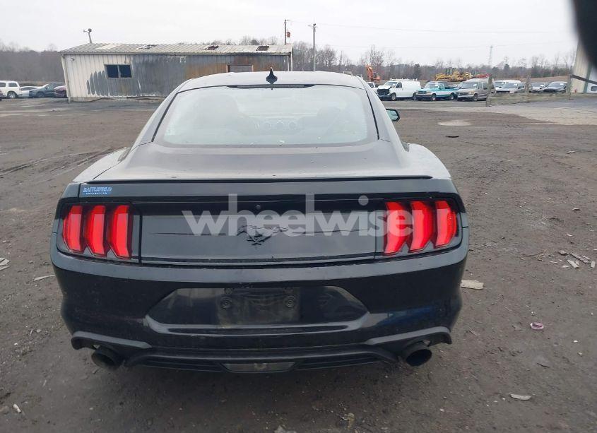 Photo 17 of 2020 Ford Mustang ECOBOOST FASTBACK (VIN 1FA6P8TH5L5159549)