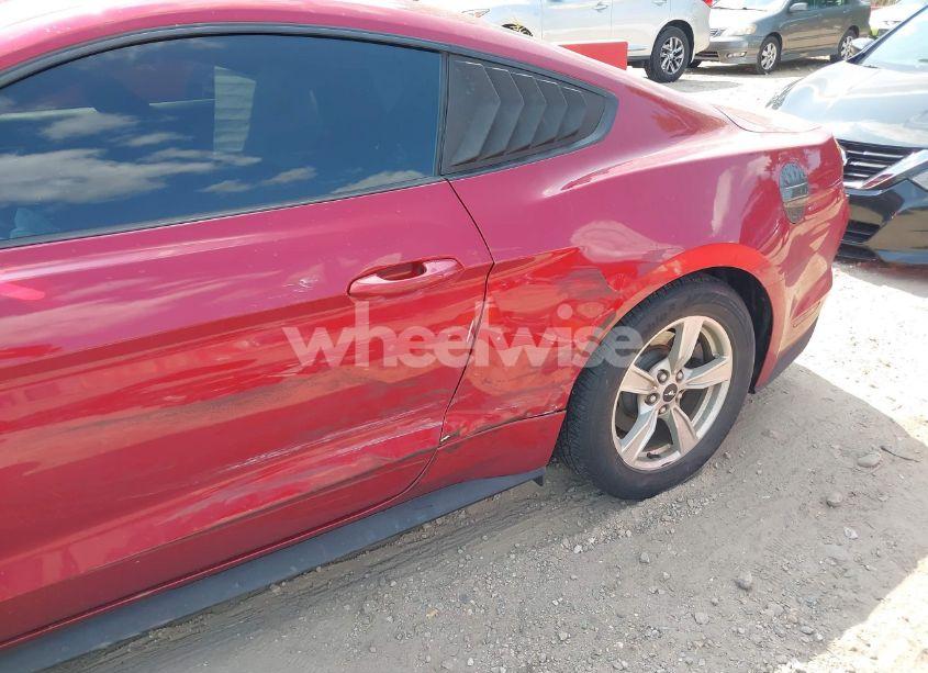 Photo 19 of 2020 Ford Mustang ECOBOOST FASTBACK (VIN 1FA6P8TH5L5162113)